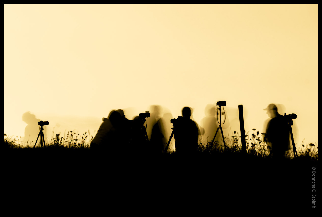 Silhouetted figures of photographers with cameras and tripods lined up along a grassy ridge against a golden sunset sky.