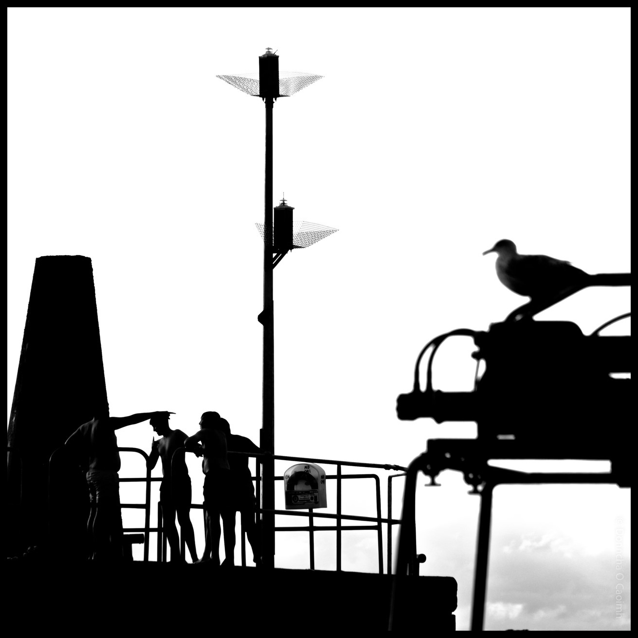 Black and white silhouette of teenagers standing on a fishing pier with seagulls perched on equipment and masts against a bright sky in Ballycotton, County Cork.