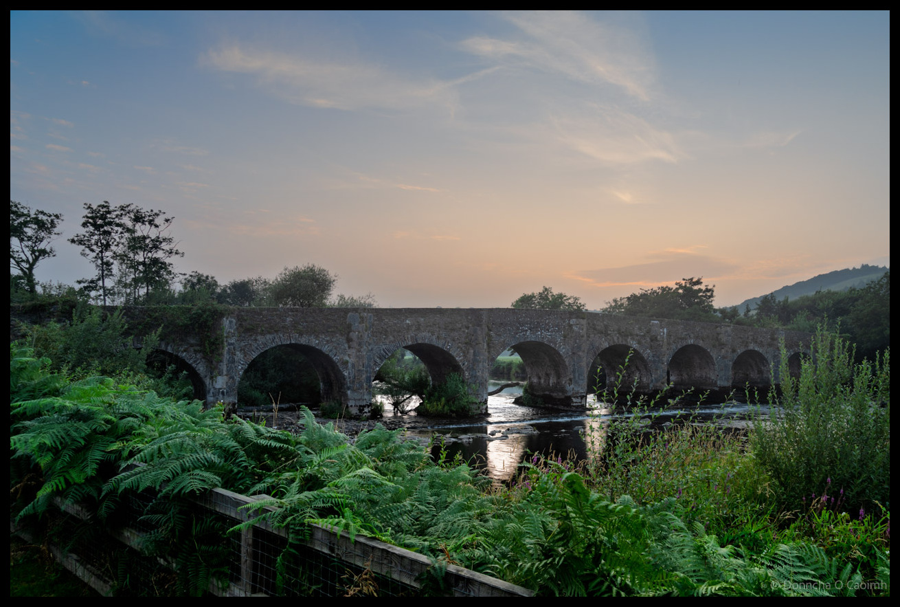 Historic stone bridge with multiple arches spanning the River Lee surrounded by lush ferns and vegetation under an evening sky at Inniscarra, County Cork.