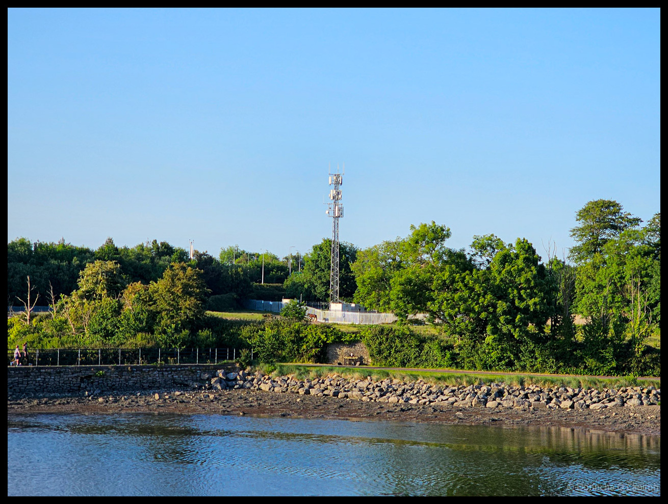 View across water of telecommunications tower on grassy hillside surrounded by mature trees in Mahon, Cork, with stone seawall and rocky shoreline in foreground under clear blue sky