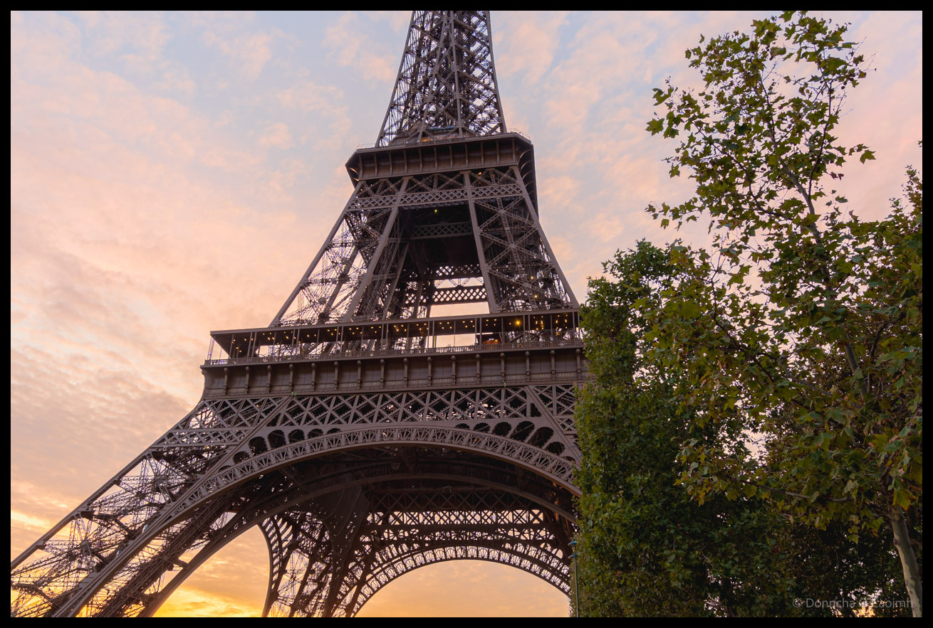 The Eiffel Tower photographed from below at sunset with pink and peach coloured clouds in the sky, showing the intricate iron lattice structure and viewing platform, with green tree foliage visible on the right side of the frame.