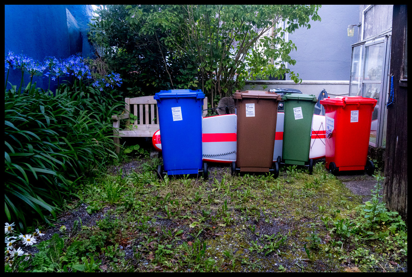 A row of five coloured wheelie bins for waste segregation lined up in a back garden in Kinsale, County Cork, including blue recycling, brown organic waste, green general waste, and red bins, with lush green foliage, garden furniture, and buildings visible in the background.