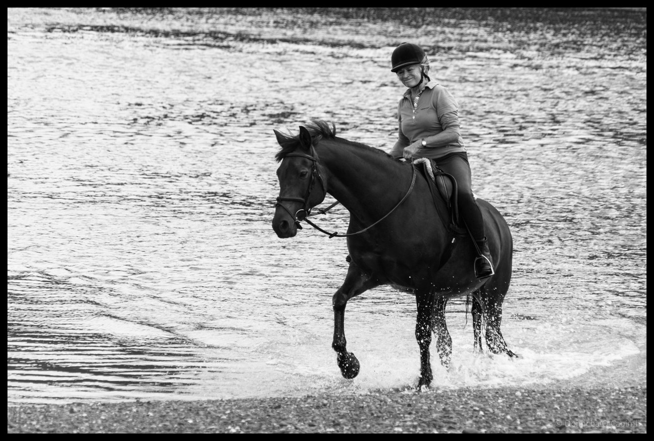 Black and white photograph of a rider wearing a riding helmet and equestrian attire cantering a dark horse through shallow water at the beach, creating dramatic splashes as the horse's hooves strike the water's surface.