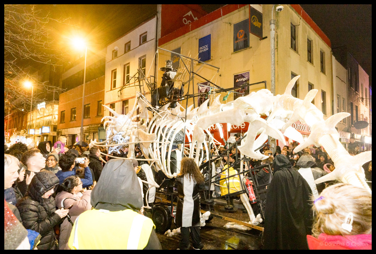 Wide-angle view of enormous white skeletal dragon structure on wheeled platform surrounded by dense crowds on Castle Street Cork during Dragon of Shandon parade at night with buildings and scaffolding visible in background