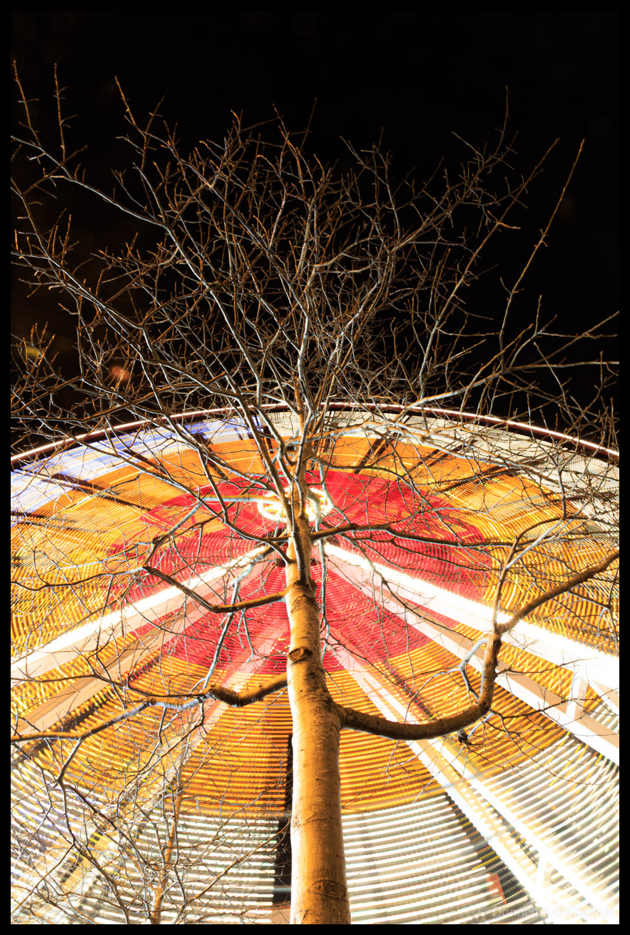 Long exposure photograph looking upward through bare winter tree branches at the Cork Christmas Ferris wheel at night in December 2017. The spinning wheel has created circular light trails in concentric rings of white, yellow, orange and red radiating from the bright centre. A leafless tree trunk rises through the centre of the frame, its delicate branches silhouetted against the glowing disc of light. The dark night sky forms the background above the tree canopy.