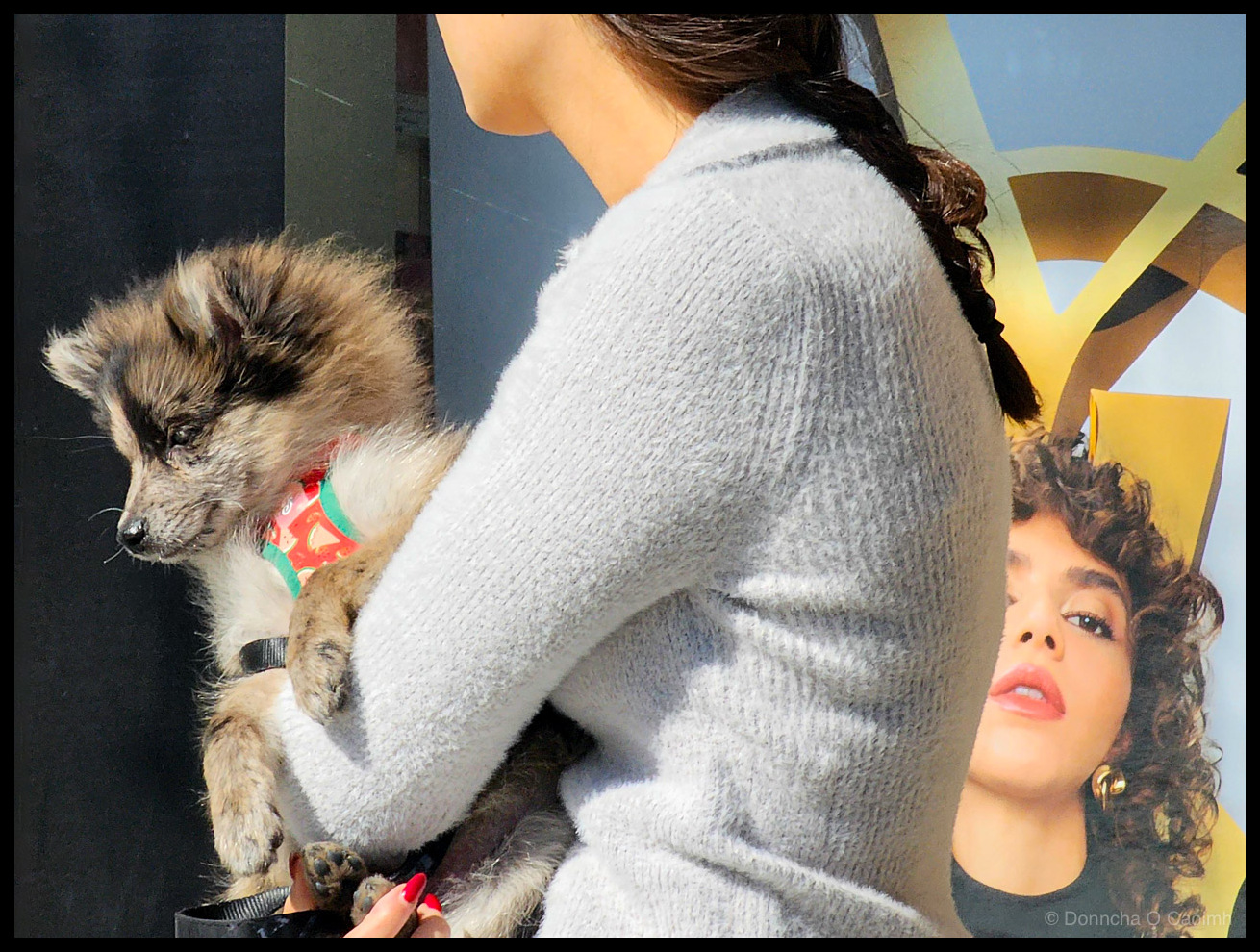 A young woman in a white fuzzy cardigan holding a fluffy tan and white puppy wearing a colourful collar, standing in front of an advertising poster featuring a woman with curly hair in Tenerife.