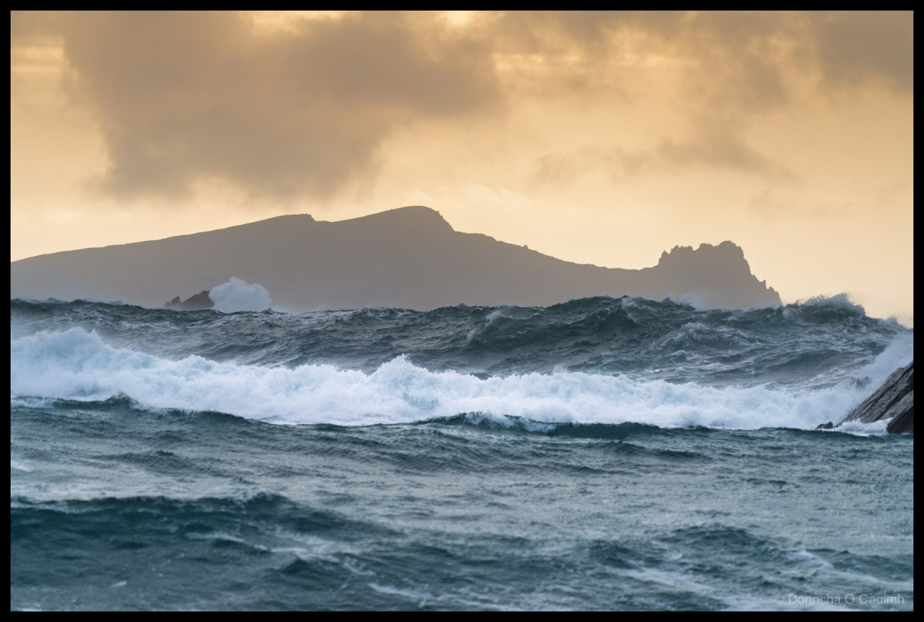 Photo of An Fear Marbh (the Dead Man) island silhouetted against a dramatic golden sky, viewed from Clogher Beach on the Dingle Peninsula. Large Atlantic waves roll and break in the foreground, with spray and mist partially obscuring the base of the island. The sea is a deep steel blue, churned and rough. Jagged rock formations are visible at the island's eastern end.
