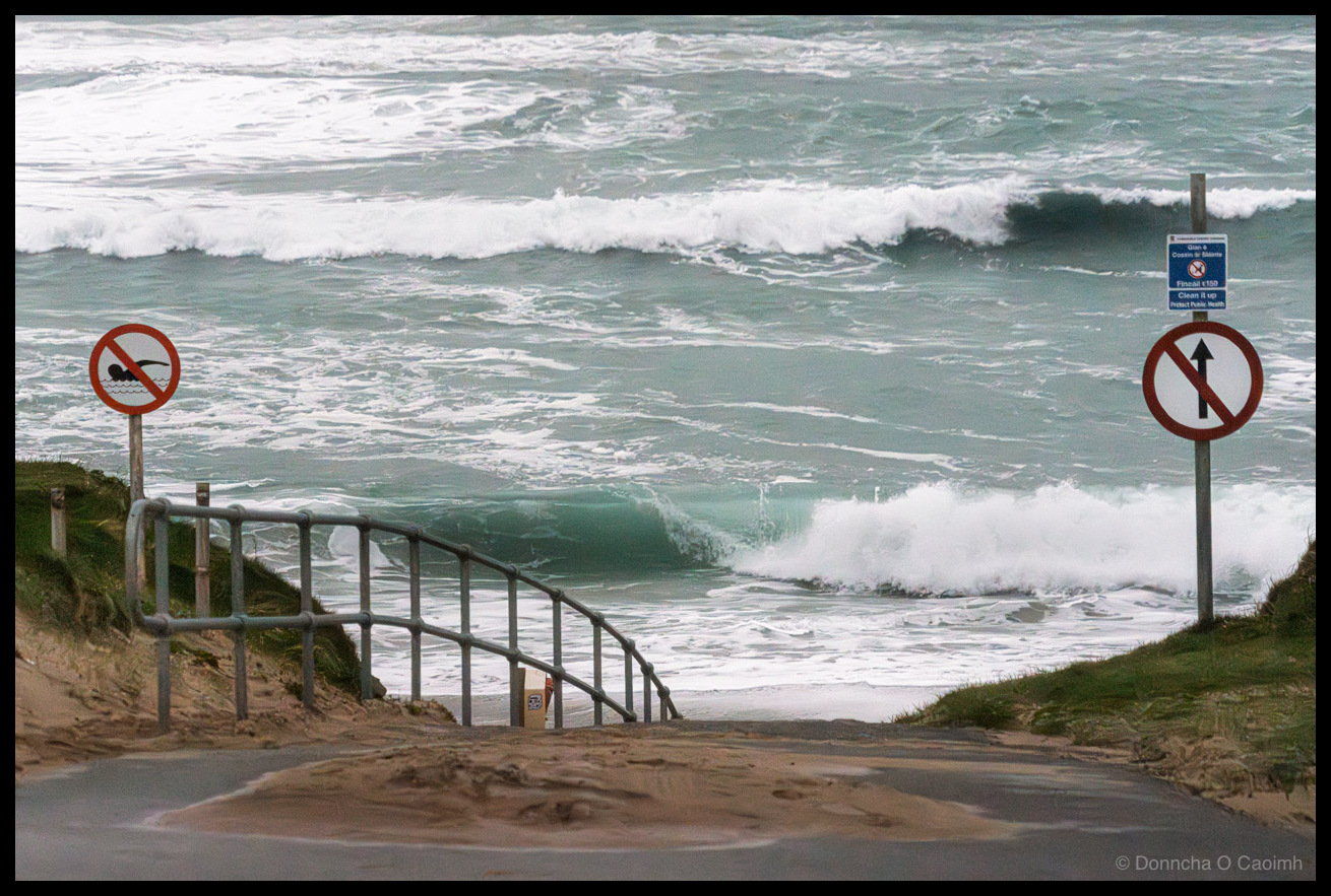 Photo of the entrance to Clogher Beach on the Dingle Peninsula, looking down concrete steps with a metal railing towards heavy surf. Rough grey-green waves break close to shore, with white foam surging up the sand. A red no-swimming sign stands on the left and a red no-entry sign on the right. A blue sign between them urges people to not litter. Sand has blown across the path and steps. Grass-covered dunes frame both sides.