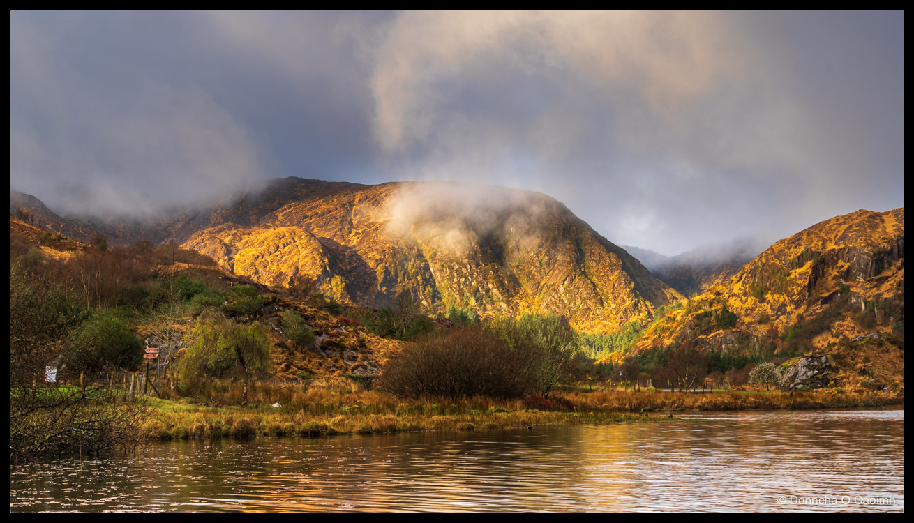 The mountains at Gougane Barra, County Cork, lit by low golden sunlight with mist and cloud wrapping around the peaks, bare birch trees and scrub along the base of the valley, brown reeds and grasses lining the shore of the almost still lake that reflects the warm mountain tones, and a small brown sign post visible on the far-left bank.