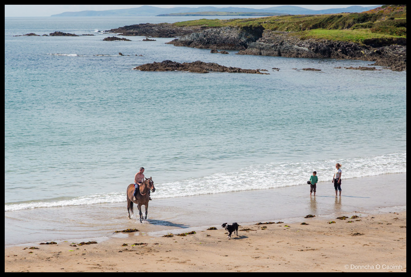 Silver Strand beach on Sherkin Island, West Cork: a bare-chested man rides a brown horse through shallow turquoise water near the shore, a black-and-white collie stands on the wet sand watching, and a boy in a green jumper and a woman with a ball stand barefoot at the water's edge, with seaweed-strewn rocks, low headlands and distant blue hills across the bay behind them.
