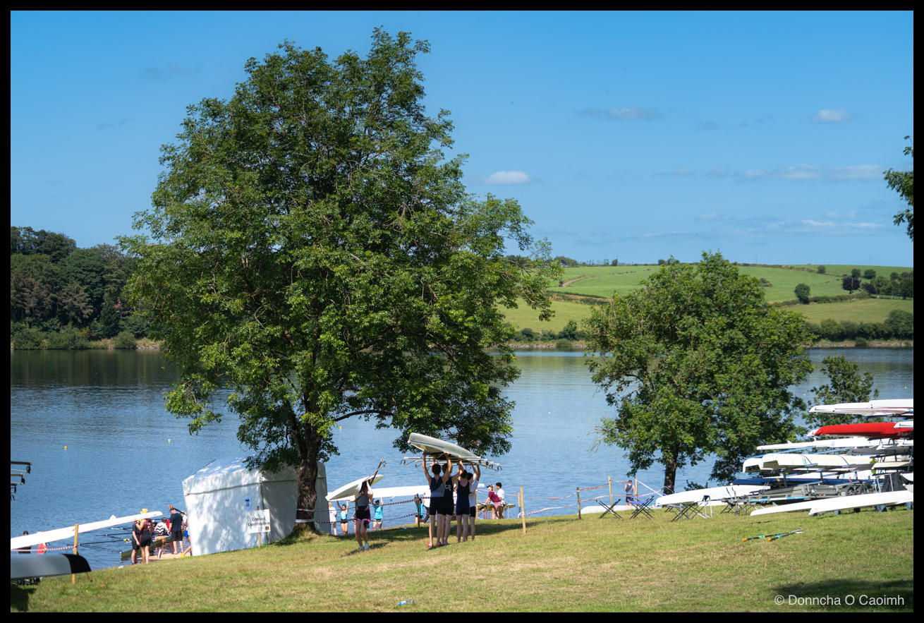 A large ash tree beside a calm reservoir under a clear blue sky, with green fields rising on the far bank, four rowers carrying an upturned racing shell overhead across the grass, a white marquee marked "Control Commission" near the water's edge, and racks of white and red hulls lined up on the right.