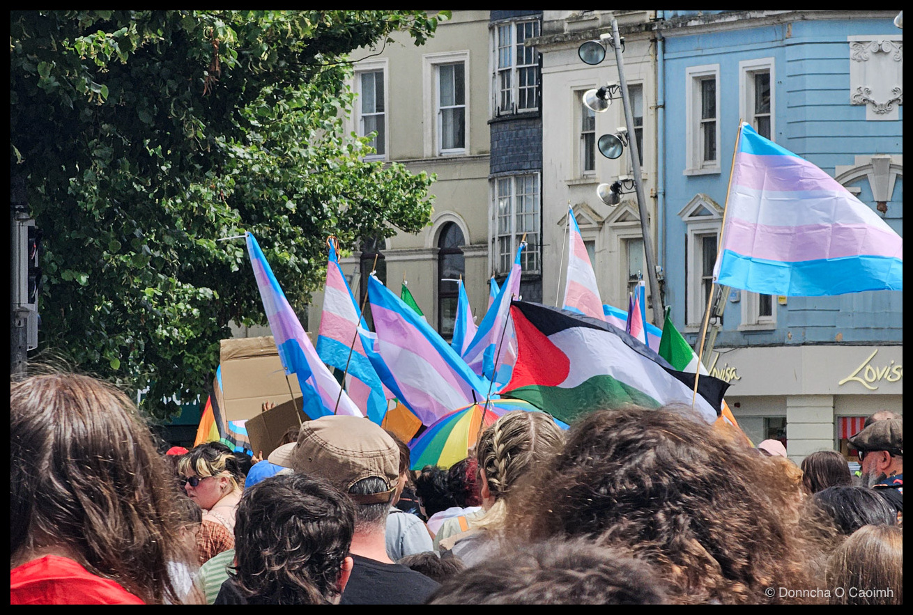 Photo of a cluster of trans pride flags, a Palestinian flag and an Irish tricolour raised above the heads of a crowd, in front of pale and blue period buildings with a "Lovisa" shopfront on the right.