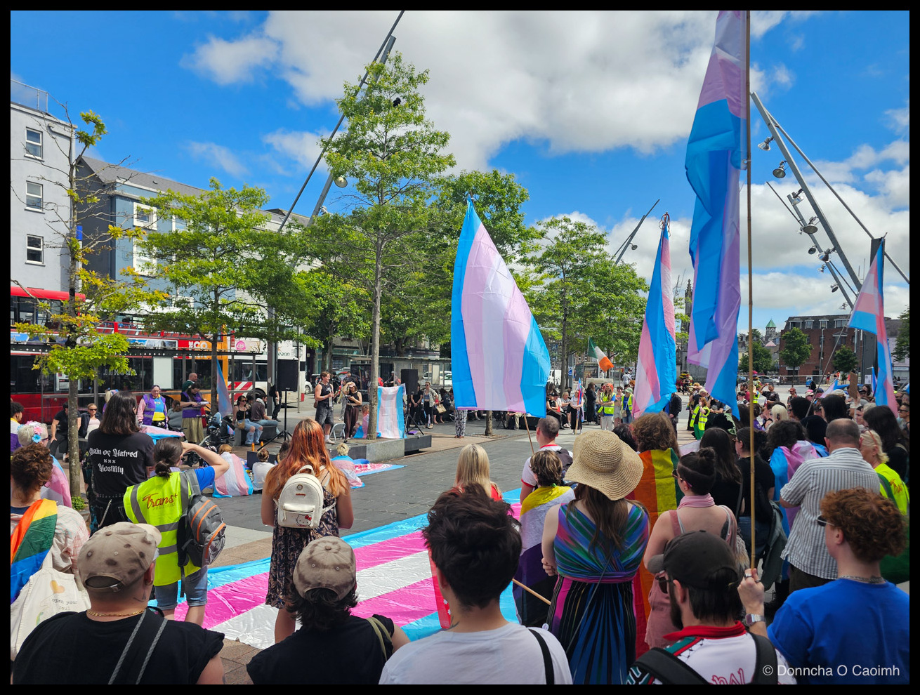 A rally gathered around a paved plaza under a bright blue sky, with tall trans pride flags raised and a large trans flag laid flat on the ground; a steward in a yellow "Trans" high-visibility vest stands at the left as people listen to speakers.