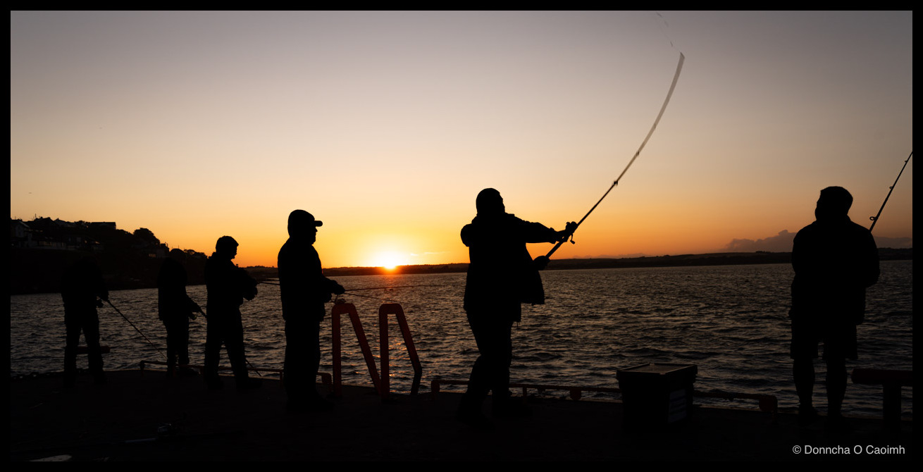 Seven fishermen in silhouette along a pier at last light, one on the far right pointing out across the water with an outstretched arm, another lifting a rod.