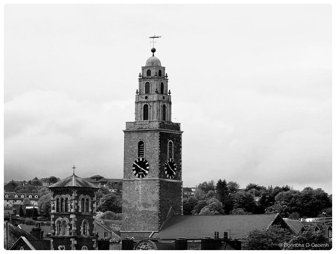 The tower of St Anne's Church, Shandon, in black and white, seen above the rooftops of Cork with the salmon weathervane on top of its dome, two of the four clock faces visible on the tower, the word MANGAN in small letters below the hands of the left-hand dial, a smaller church tower and trees on the left, and a flat overcast sky behind.