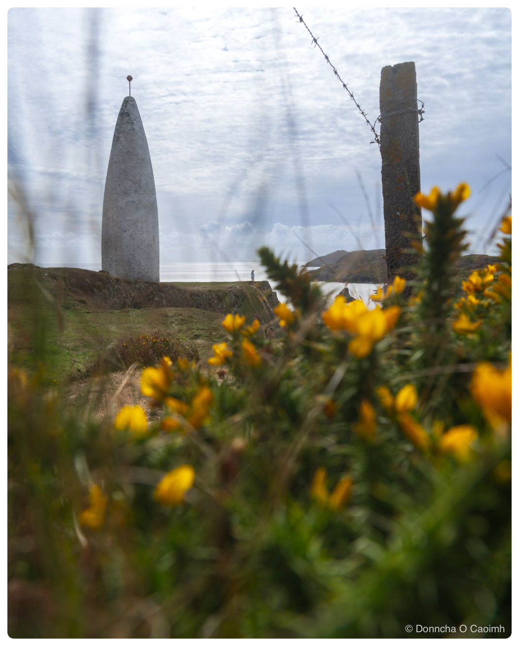 The white-painted Baltimore Beacon stands on a clifftop in West Cork, seen from low down through a foreground of yellow gorse flowers, with a weathered concrete fence post and barbed wire on the right, a small figure standing near the base of the beacon, and the sea and a low headland beyond under a hazy sky.